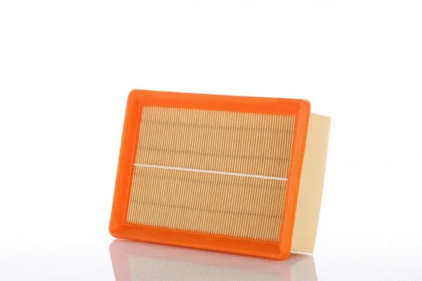 Air Filter (WA50442)