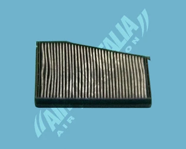 Filter, cabin air (AS2504)