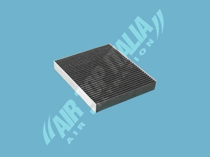 Filter, cabin air (AS2636)