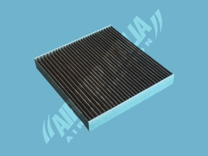 Filter, cabin air (AS2661)