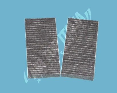 Filter, cabin air (AS2521)