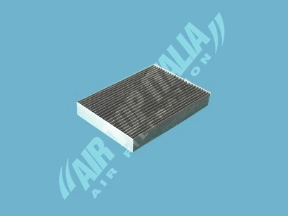 Filter, cabin air (AS2640)