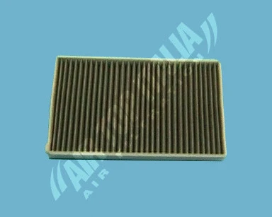 Filter, cabin air (AS2418)