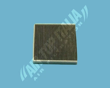 Filter, cabin air (AS2434)