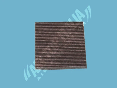 Filter, cabin air (AS2531)