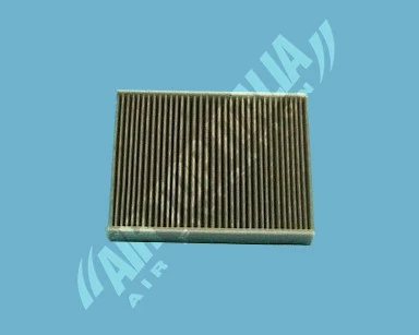 Filter, cabin air (AS2419)
