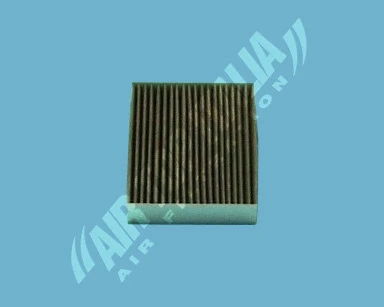 Filter, cabin air (AS2513)