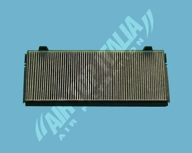 Filter, cabin air (AS2481)