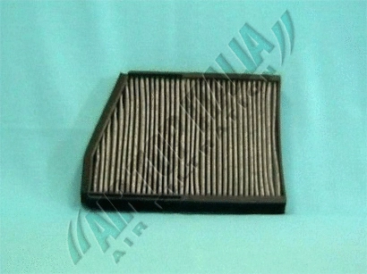 Filter, cabin air (WZ1389)