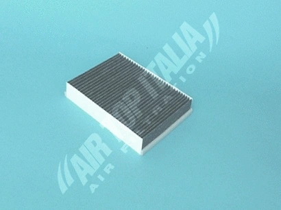 Filter, cabin air (WZ1631)