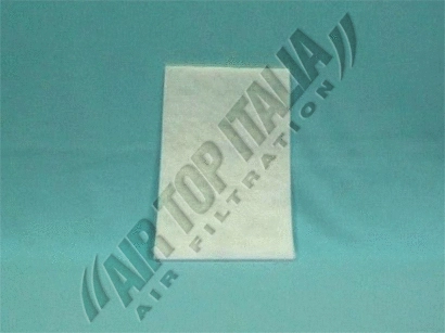 Filter, cabin air (WZF1019)