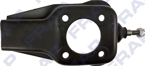 Control/Trailing Arm, wheel suspension (F1021)