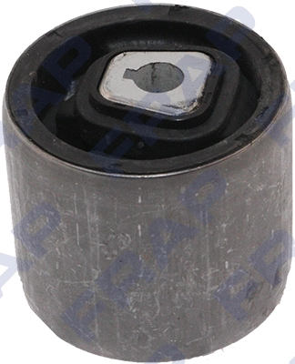 Mounting, control/trailing arm (FSB2958)