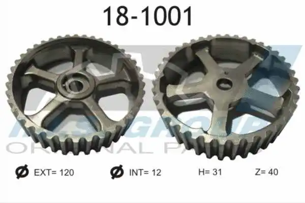 Gear/Sprocket, camshaft (18-1001)