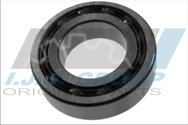 Wheel Bearing (10-1191R)