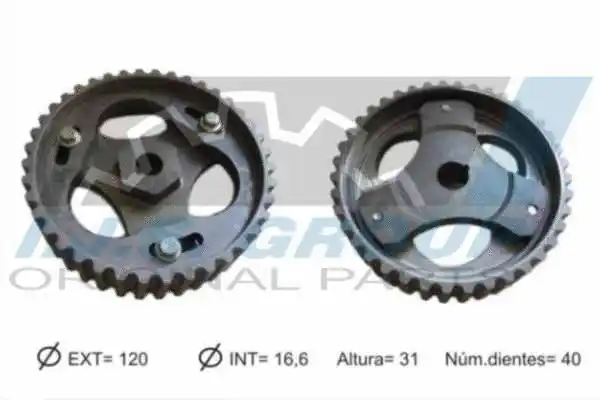 Gear/Sprocket, camshaft (18-1006)