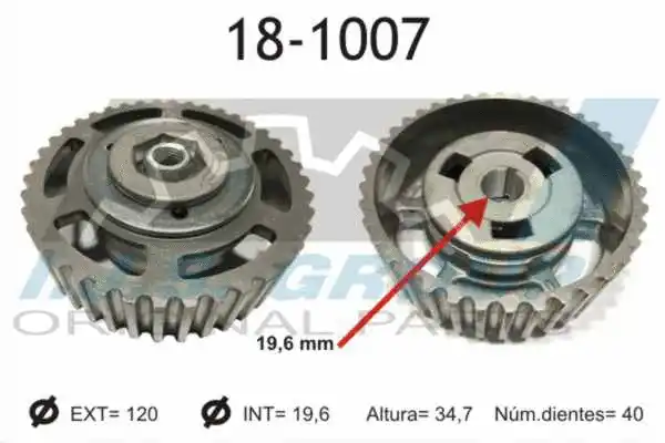 Gear/Sprocket, camshaft (18-1007)