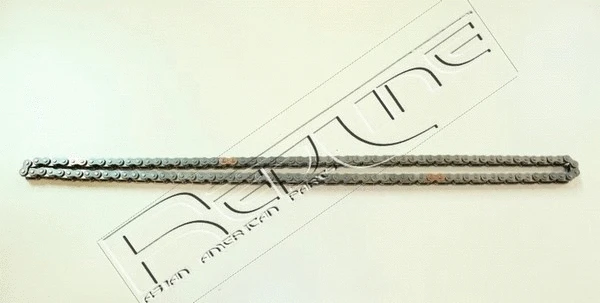 Timing Chain (29KI045)