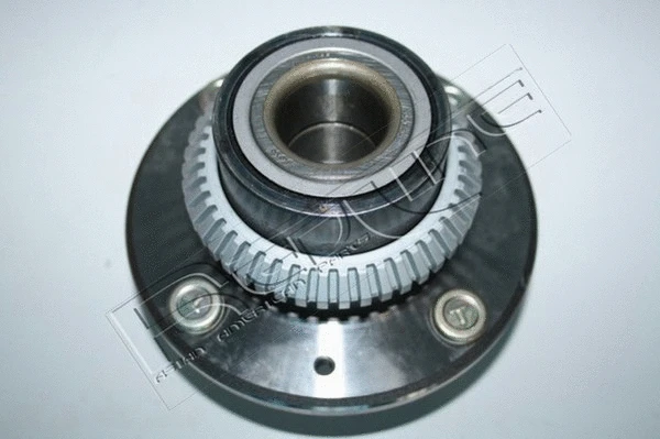 Wheel Hub (24MI021)