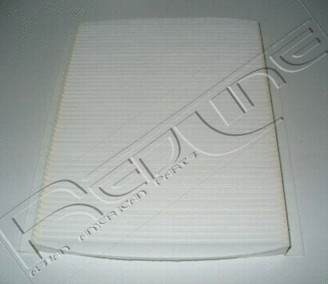 Filter, cabin air (36NI010)