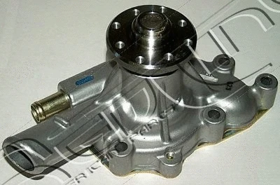 Water Pump, engine cooling (28IZ005)