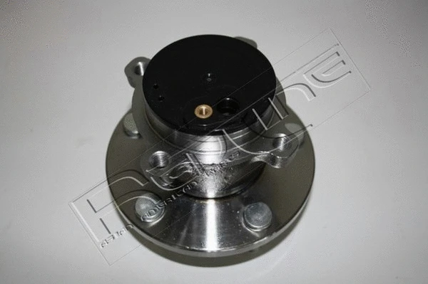 Wheel Hub (24MZ006)