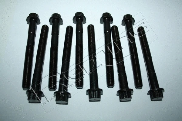 Cylinder Head Bolt Set (00TO011)