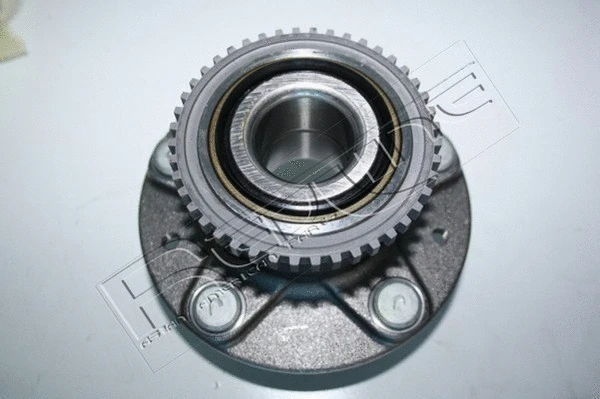 Wheel Hub (24MZ009)