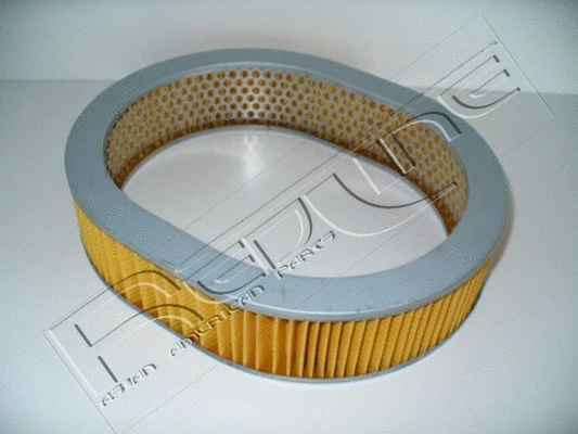 Air Filter (36NI003)