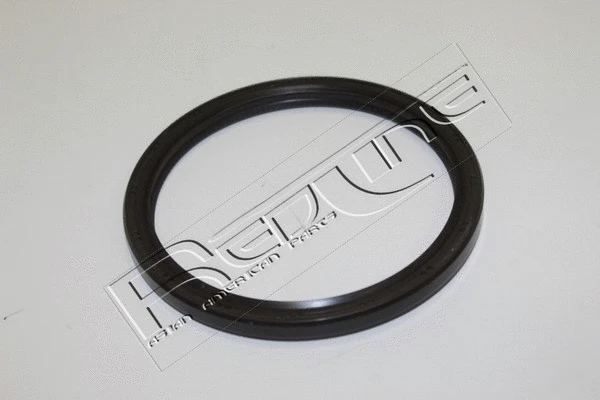 Shaft Seal, crankshaft (44MI008)
