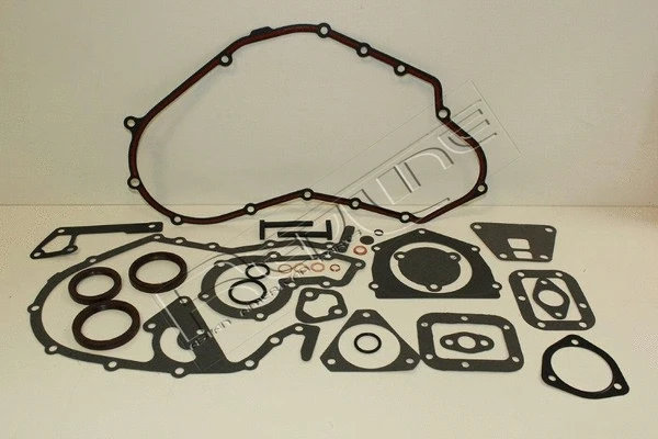 Gasket Kit, crankcase (33RV004)