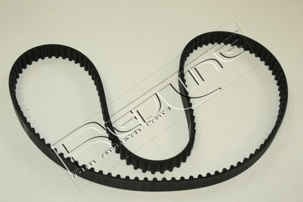 Timing Belt (29DW010)