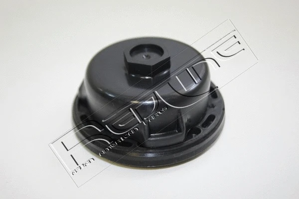 Shaft Seal, crankshaft (44NI016)