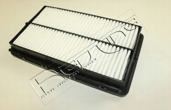 Air Filter (36KI077)