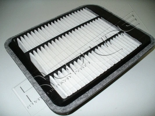 Air Filter (36MI022)