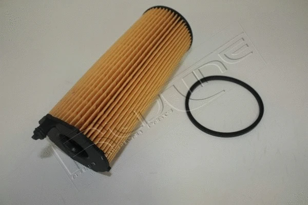 Oil Filter (38RV016)