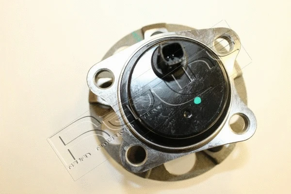 Wheel Hub (24TO055)