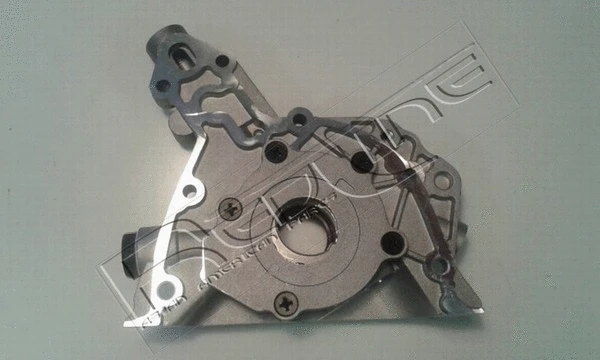 Oil Pump (31DW001)
