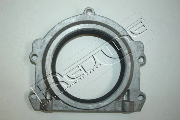 Shaft Seal, crankshaft (44RV001)