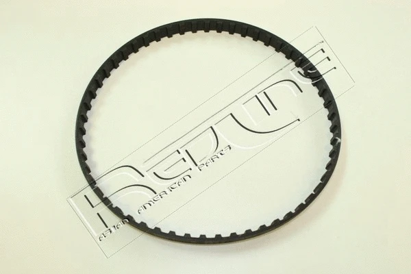 Timing Belt (29MI010)