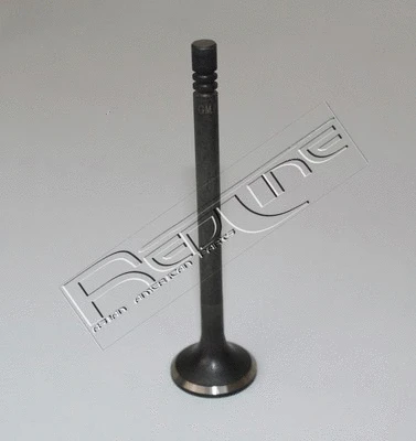 Exhaust Valve (15HY017)