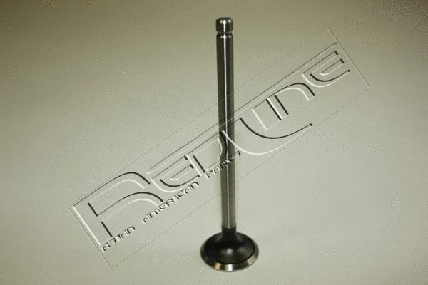 Exhaust Valve (15DW007)
