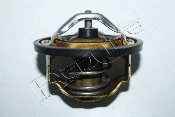 Thermostat, coolant (55SZ002)