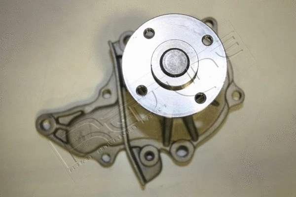 Water Pump, engine cooling (28TO031)