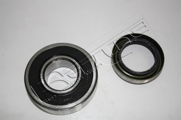 Wheel Bearing Kit (24IZ002)