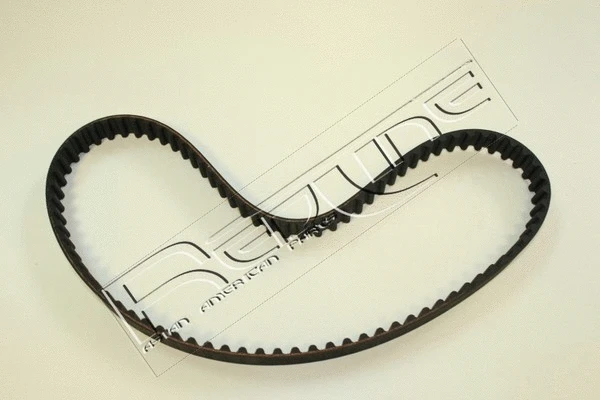 Timing Belt (29MI001)