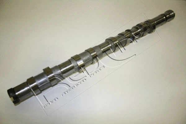 Camshaft (16KI000)
