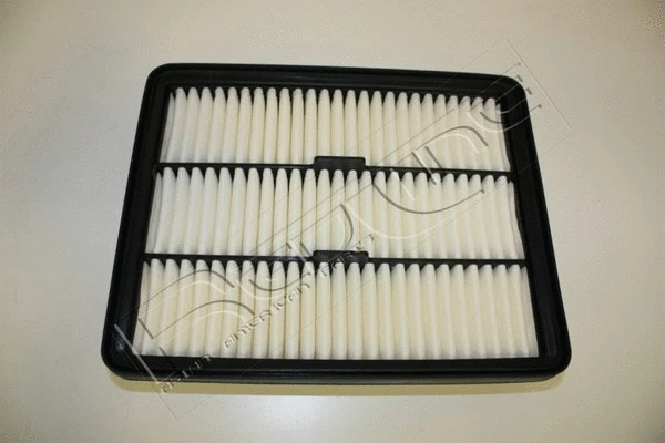 Air Filter (36HY030)