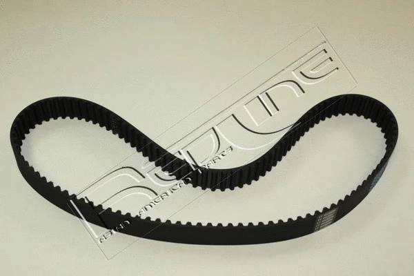 Timing Belt (29RV000)