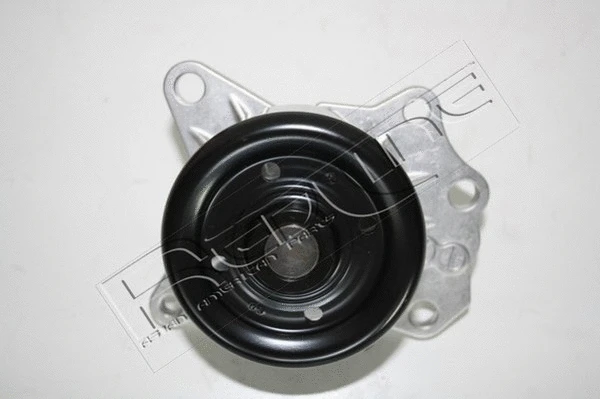 Water Pump, engine cooling (28TO050)